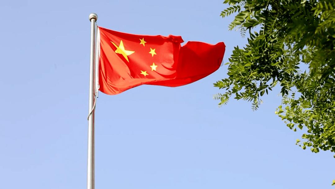 金毛嫌弃口水巾没有其它伙伴的好看,一脸委屈、都快要哭了